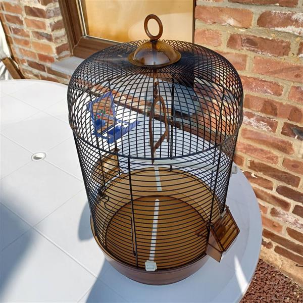 Grote foto vogelkooi met toebehoren dieren en toebehoren hokken en kooien
