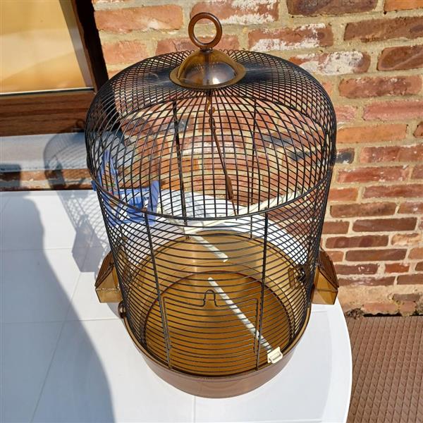 Grote foto vogelkooi met toebehoren dieren en toebehoren hokken en kooien