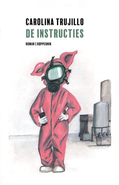 Grote foto de instructies boeken overige boeken