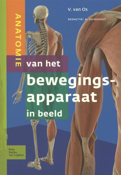 Grote foto anatomie van het bewegingsapparaat in beeld boeken wetenschap