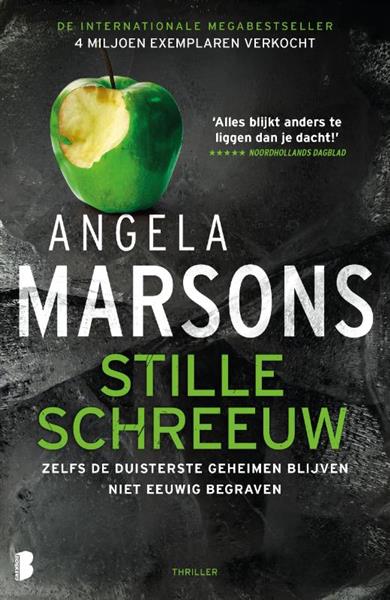 Grote foto stille schreeuw kim stone 1 boeken thrillers