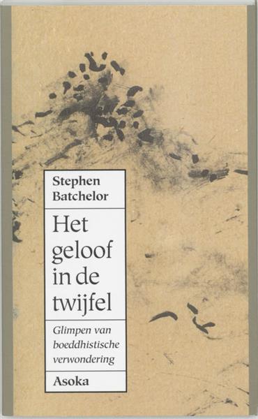 Grote foto het geloof in de twijfel boeken overige boeken