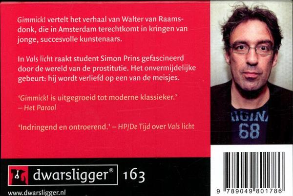 Grote foto gimmick vals licht dwarsligger 163 boeken overige boeken