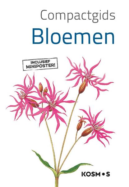 Grote foto compactgids bloemen compactgidsen natuur boeken hobby en vrije tijd