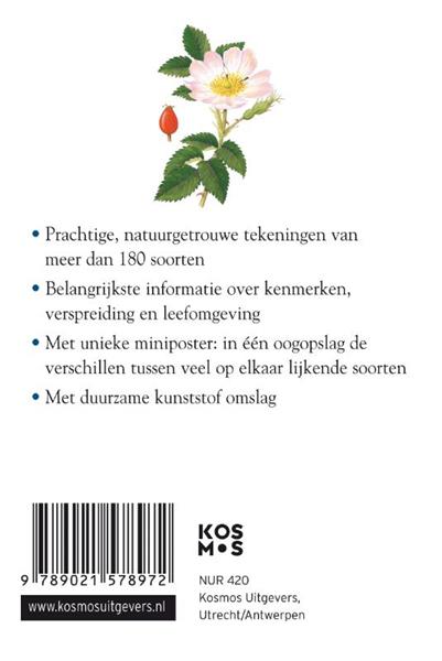 Grote foto compactgids bloemen compactgidsen natuur boeken hobby en vrije tijd