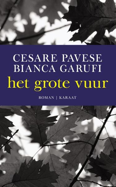 Grote foto het grote vuur boeken overige boeken
