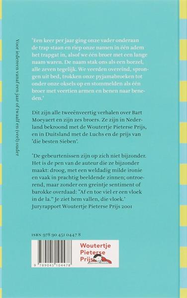 Grote foto broere schatkist van de jeugdliteratuur boeken jeugd 13 jaar en ouder