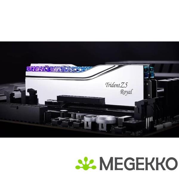 Grote foto g.skill f5 7200j3646f24gx2 tr5s geheugenmodule 48 gb 2 x 24 gb ddr5 7200 mhz computers en software harde schijven