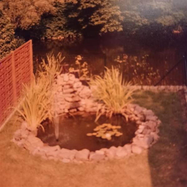 Grote foto fonteinpomp tuin en terras vijvers en toebehoren