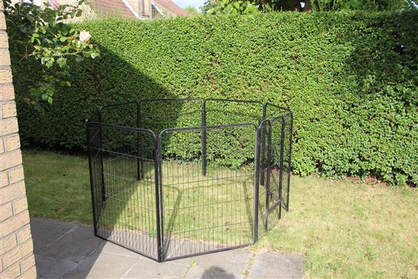Grote foto te koop hondenren dieren en toebehoren hondenhokken en kooien