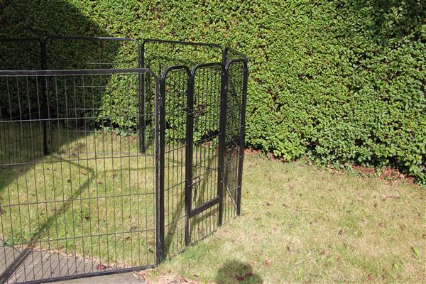 Grote foto te koop hondenren dieren en toebehoren hondenhokken en kooien