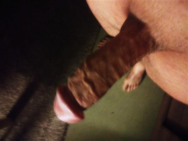 Grote foto eurotic bdsm bottom meester erotiek contact man tot man
