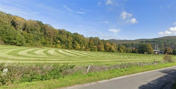 Grote foto ardennen 5544 agimont perceel van 51 are. huizen en kamers kavels benelux