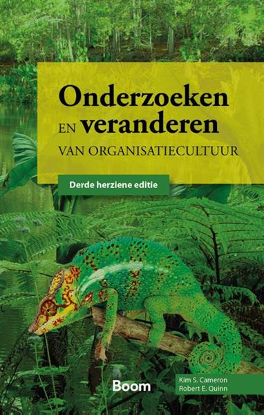 Grote foto onderzoeken en veranderen van organisatiecultuur boeken studieboeken
