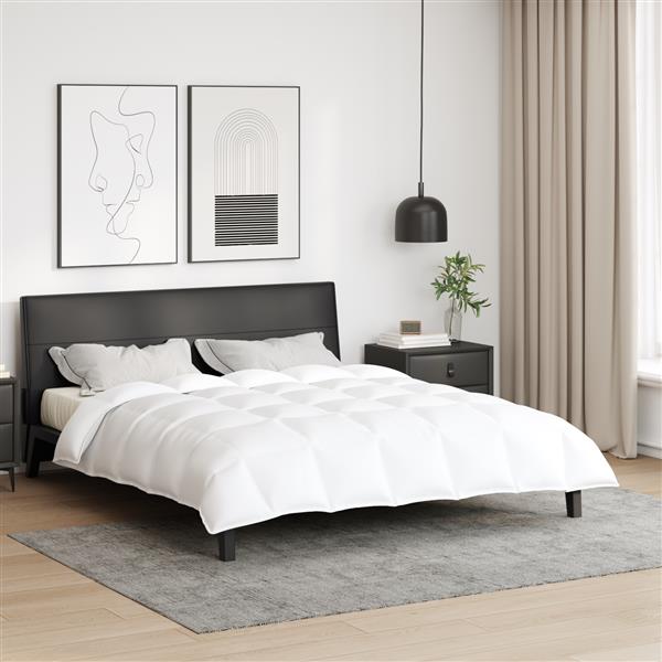 Grote foto vidaxl dekentjes dekbedden wit 200 x 220 cm dons huis en inrichting bedden