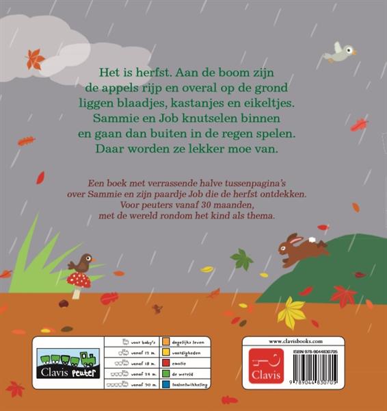Grote foto sammie in de herfst sammie boeken jeugd 13 jaar en ouder