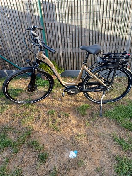 Grote foto electrische fiets merk das e bike 010 fietsen en brommers elektrische fietsen
