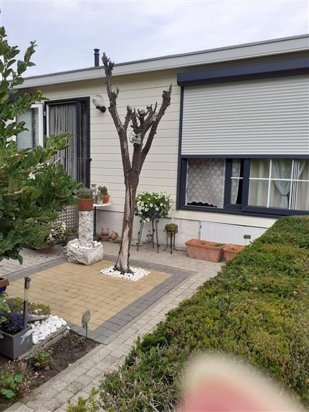 Grote foto chalet te koop van eerste eigenaar caravans en kamperen stacaravans