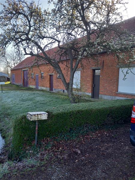 Grote foto boerderij agrarisch stallen