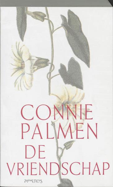 Grote foto de vriendschap boeken overige boeken