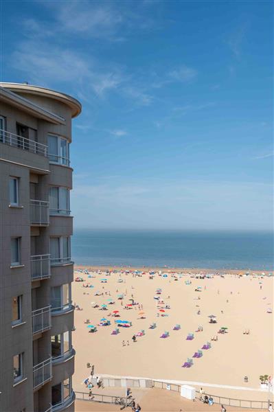 Grote foto studio te koop 50m van het strand oostende huizen en kamers appartementen en flats