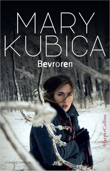 Grote foto bevroren boeken thrillers