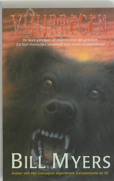 Grote foto vuurregen boeken thrillers