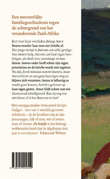 Grote foto de belofte boeken overige boeken