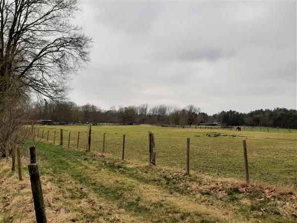 Grote foto weiland te koop . agrarisch veehouderij