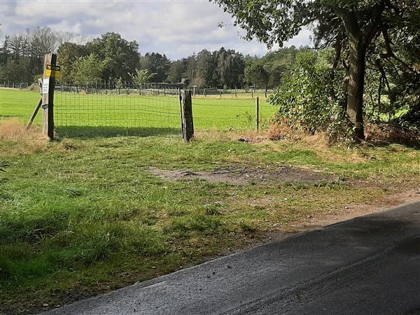 Grote foto weiland te koop . agrarisch veehouderij