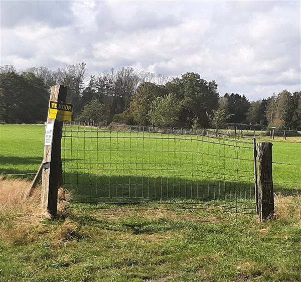 Grote foto weiland te koop . agrarisch veehouderij