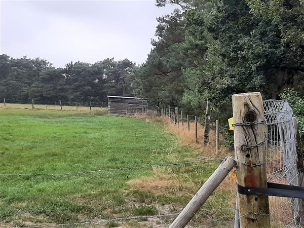 Grote foto weiland te koop . agrarisch veehouderij