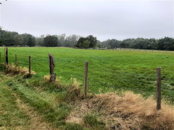 Grote foto weiland te koop . agrarisch veehouderij