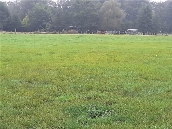 Grote foto weiland te koop . agrarisch veehouderij