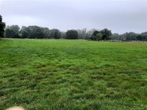 Grote foto weiland te koop . agrarisch veehouderij