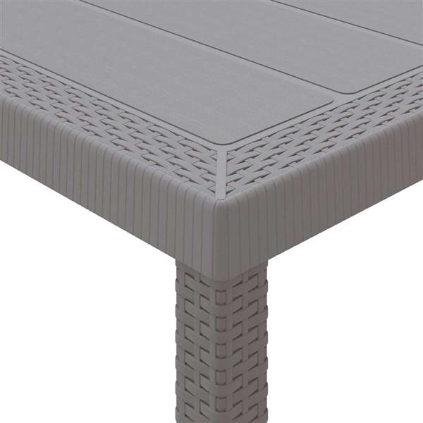 Grote foto vidaxl tuin eetset 11 pcs lichtgrijs polt riet tuin en terras tuinmeubelen