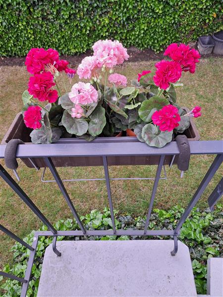 Grote foto balkonrek tuin en terras bloembakken