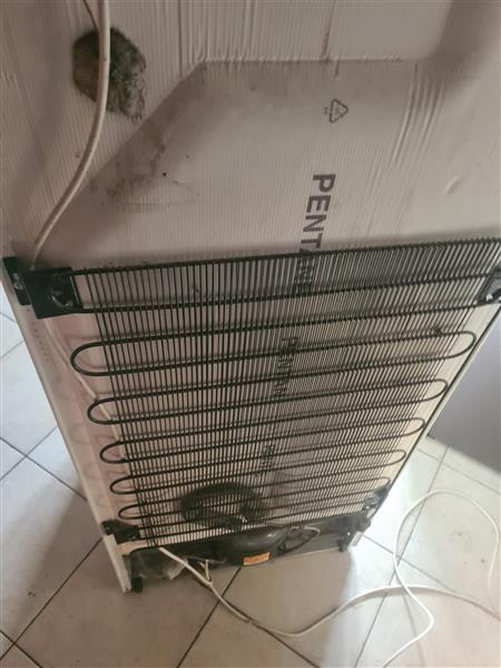 Grote foto rechtstaande vriezer witgoed en apparatuur koelkasten en ijskasten