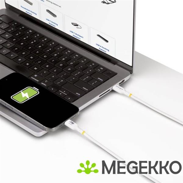 Grote foto startech.com usb 2.0 0.48gbps 240w usb type c 3m wit computers en software overige computers en software