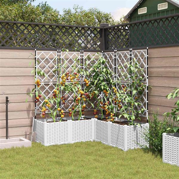 Grote foto vidaxl tuindruppel met trellis 5 pcs wit 120 x 120 x 143 cm pp tuin en terras overige tuin en terras