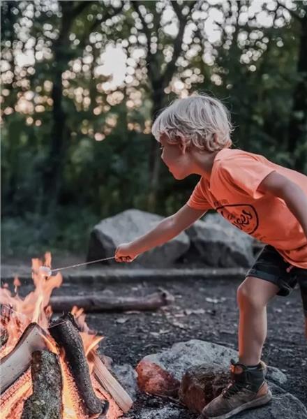 Grote foto boomhut met sauna 4 personen nieuw vakantie belgi