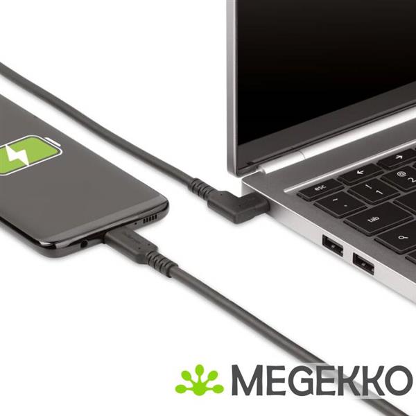 Grote foto startech.com usb 3.2 gen 2 10gbps 100w usb type c usb type c haaks 1m computers en software overige computers en software