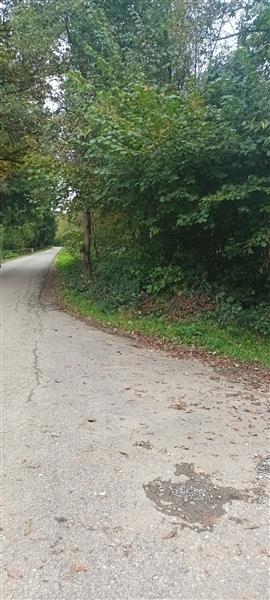 Grote foto tk prachtigwoudperceel 1 uur v.brussel huizen en kamers grondkavels