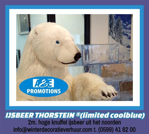 Grote foto sneeuwpanter bewegend ijsbeer brabant limburg diversen kerst