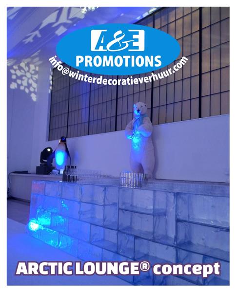 Grote foto ijspaleis frozen verhuur ijskasteel ijsberen etc diversen kerst