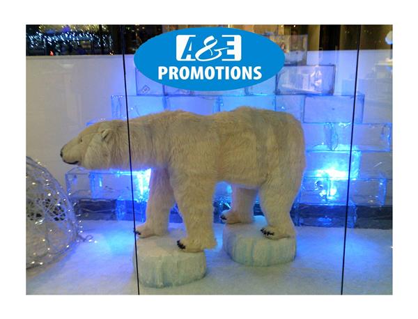 Grote foto antarctica items verhuur bewegende ijsbeer. gent diversen kerst