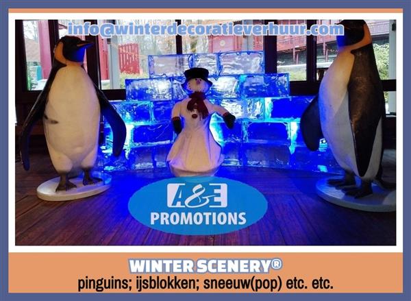 Grote foto wintermagische aankleding brabant turnhout ijsbeer diversen kerst