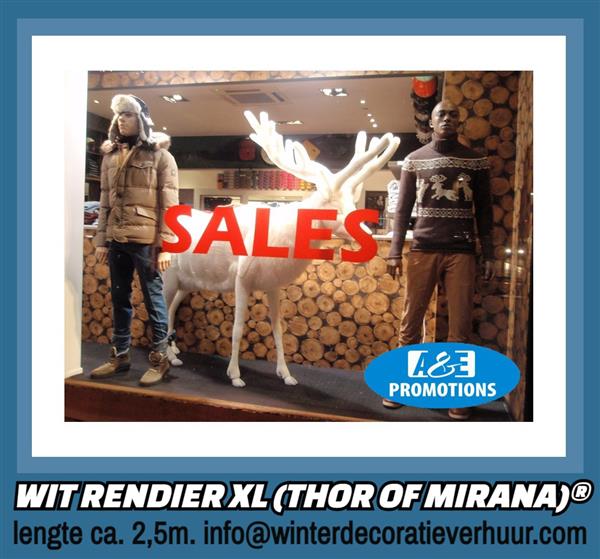 Grote foto wintermagische aankleding brabant turnhout ijsbeer diversen kerst