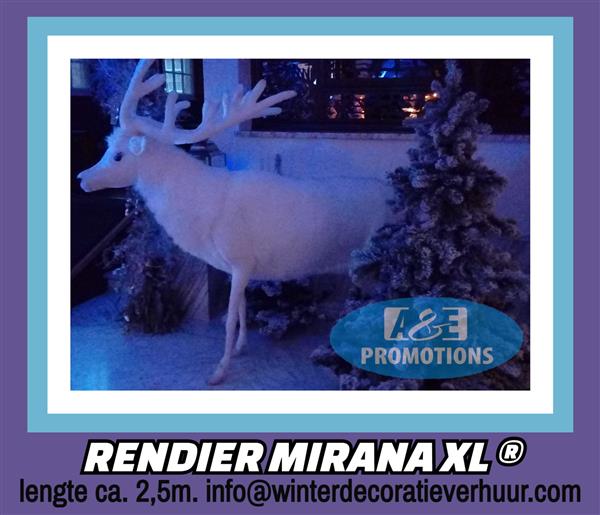 Grote foto wintermagische aankleding brabant turnhout ijsbeer diversen kerst