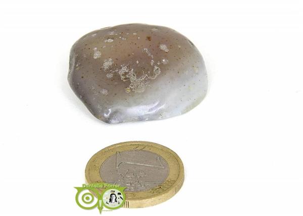 Grote foto agaat geodines ag ge rm 9 19 verzamelen overige verzamelingen